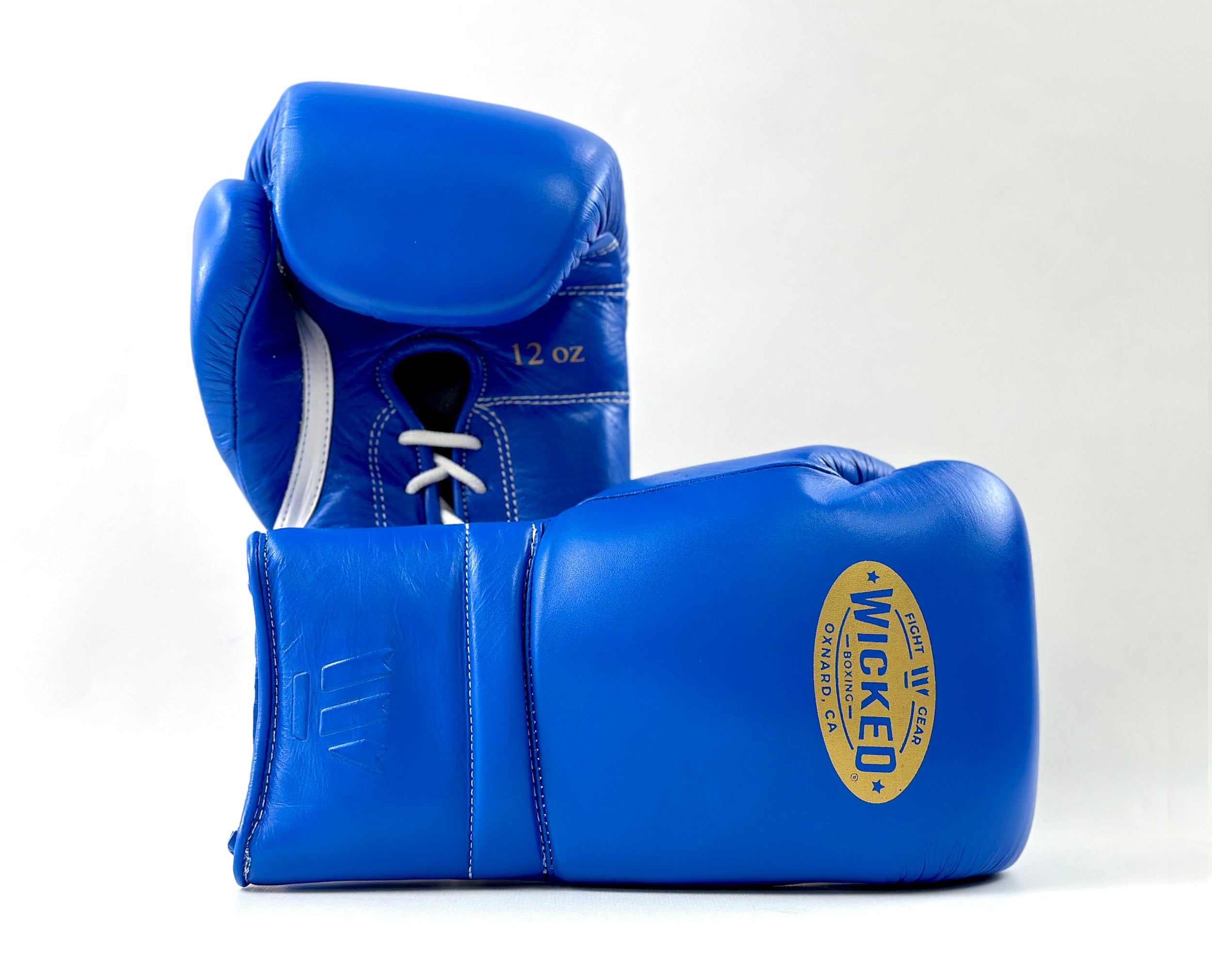 Jual Boxing Glove Hook Blue - 16 oz - Kota Tangerang Selatan